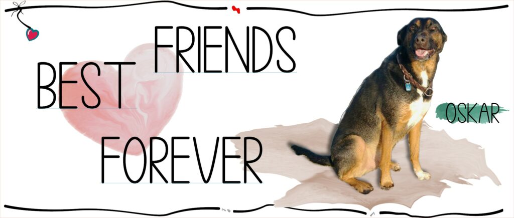 Herzlinde.de